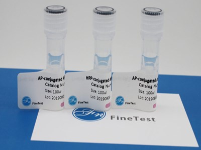 HRP標記鼠抗兔特異性IgG(L)