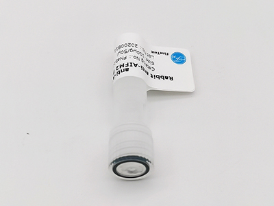 抗CD44抗體