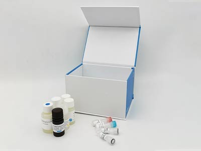 雞甲胎蛋白(αFP)酶聯(lián)免疫吸附測定(elisa)試劑盒
