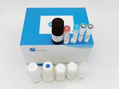 倉(cāng)鼠白介素2(IL-2)酶聯(lián)免疫吸附測(cè)定(elisa)試劑盒