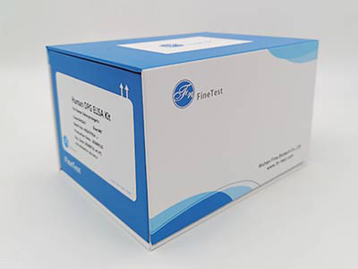 倉(cāng)鼠γ干擾素(IFN-γ)酶聯(lián)免疫吸附測(cè)定(elisa)試劑盒
