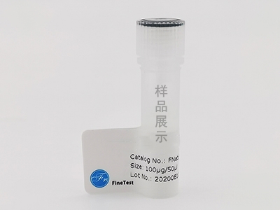 抗RCAS1抗體