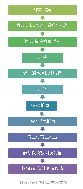 elisa試劑盒操作流程