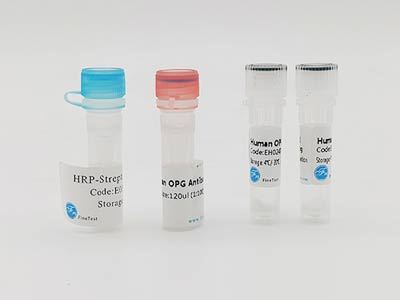 山羊胰島素樣生長(zhǎng)因子1(IGF-1)酶聯(lián)免疫吸附測(cè)定(elisa)試劑盒