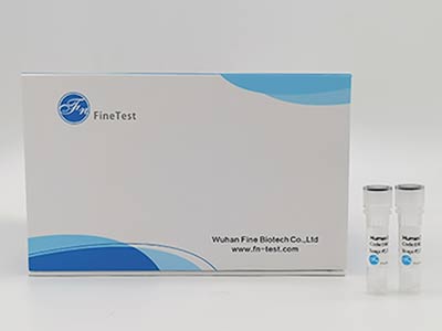 山羊白介素10(IL-10)酶聯(lián)免疫吸附測(cè)定(elisa)試劑盒