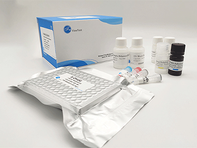 山羊白介素6(IL-6)酶聯(lián)免疫吸附測(cè)定(elisa)試劑盒