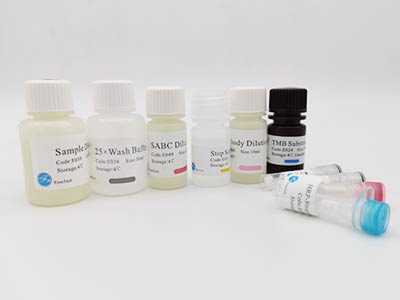 倉(cāng)鼠白介素17(IL-17)酶聯(lián)免疫吸附測(cè)定(elisa)試劑盒