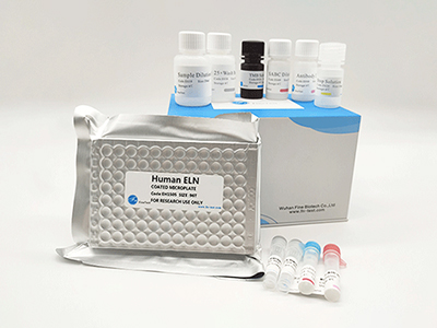 倉(cāng)鼠腫瘤壞死因子α(TNF-α)酶聯(lián)免疫吸附測(cè)定(elisa)試劑盒