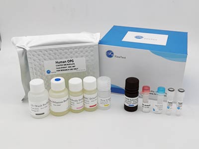 猴脂聯(lián)素受體1(ADIPOR1)酶聯(lián)免疫吸附測(cè)定(elisa)試劑盒