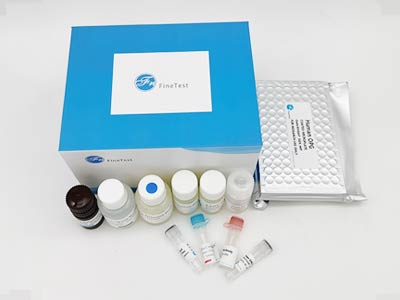 猴甲胎蛋白(αFP)酶聯(lián)免疫吸附測(cè)定(elisa)試劑盒