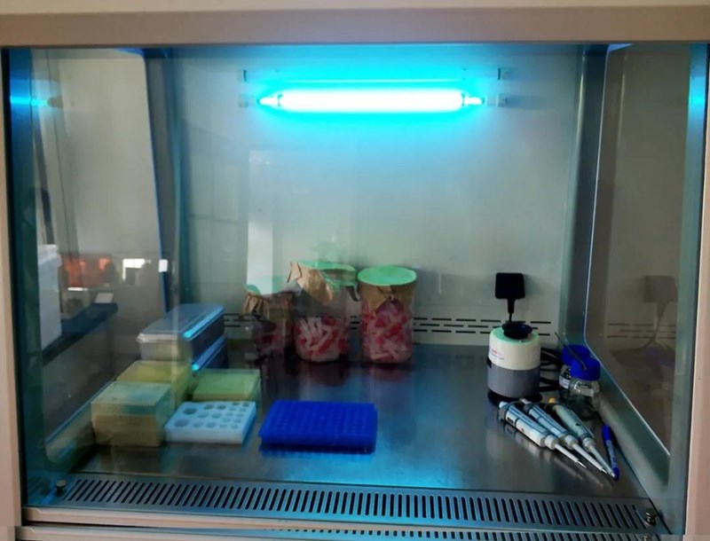 菲恩生物產(chǎn)品消毒