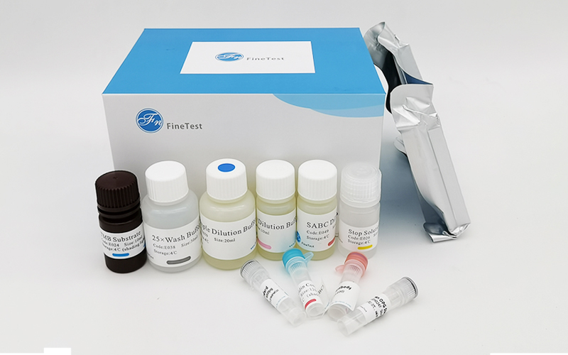 菲恩生物Accquant 系列 人白介素6產(chǎn)品圖