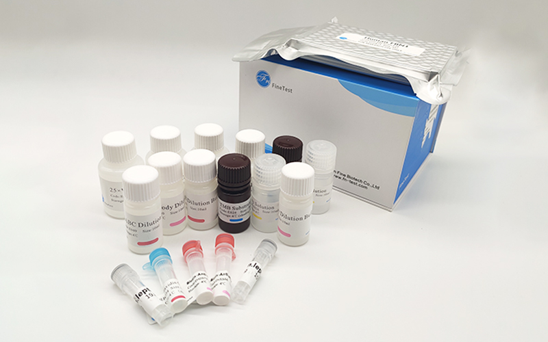 human il-6 elisa試劑盒