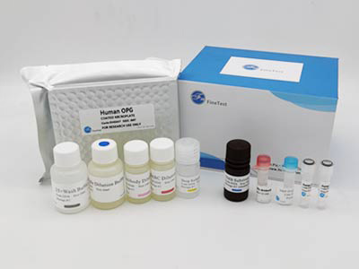 馬組織因子(TF)酶聯(lián)免疫(elisa)試劑盒