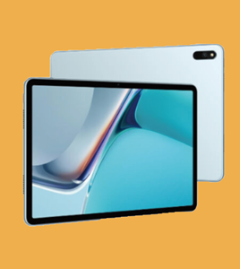 菲恩生物國(guó)慶活動(dòng)