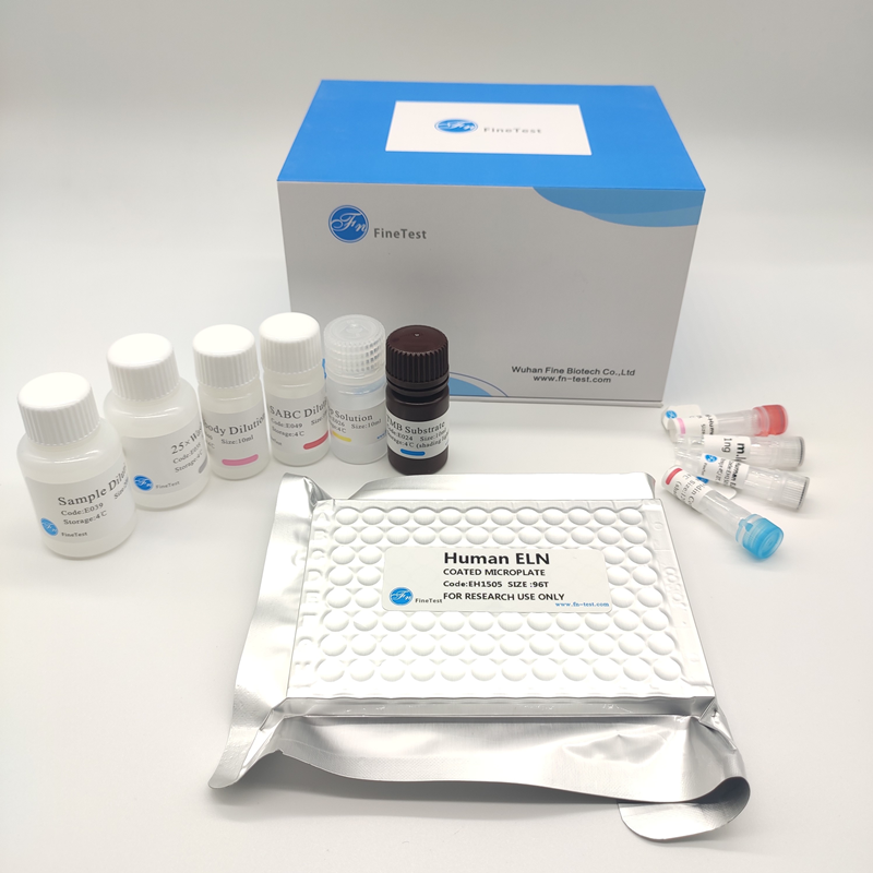 菲恩生物國(guó)慶活動(dòng)