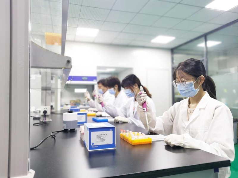 菲恩生物實(shí)驗(yàn)室