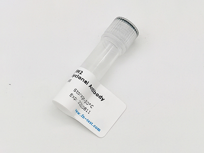 抗6*His,His-Tag抗體