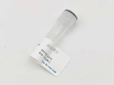 抗ALDH1A1抗體