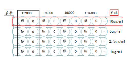 elisa棋盤滴定