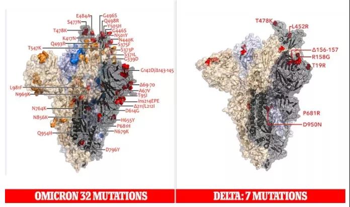 Omicron變體32個(gè)突變