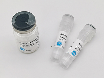 人源Collagen XV alpha 1重組蛋白