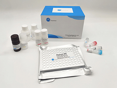 大鼠糖原合成酶激酶3α(GSK3α)酶聯免疫(elisa)試劑盒