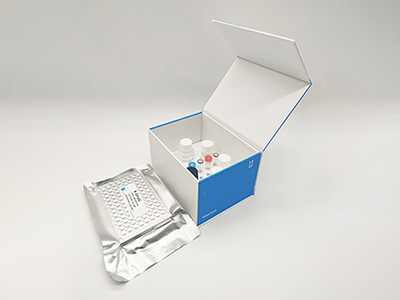 大鼠β淀粉樣蛋白42(Aβ42)酶聯免疫(elisa)試劑盒