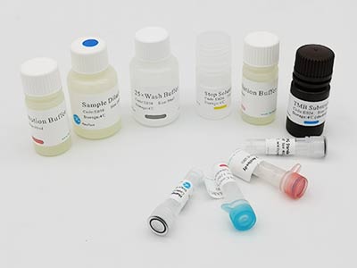 兔神經(jīng)生長因子(NGF)酶聯(lián)免疫(elisa)試劑盒