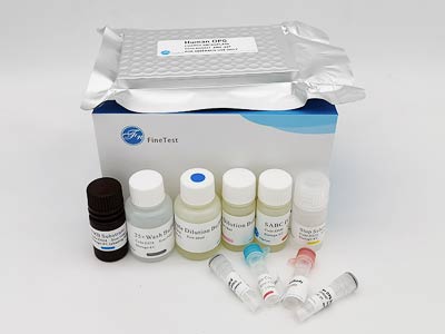 小鼠肥大細胞類糜蛋白酶1(CMA1)酶聯(lián)免疫(elisa)試劑盒