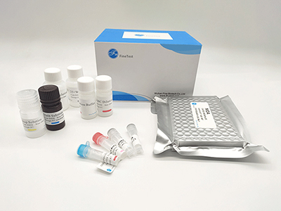 小鼠信號素3G(SEMA3G)酶聯(lián)免疫(elisa)試劑盒