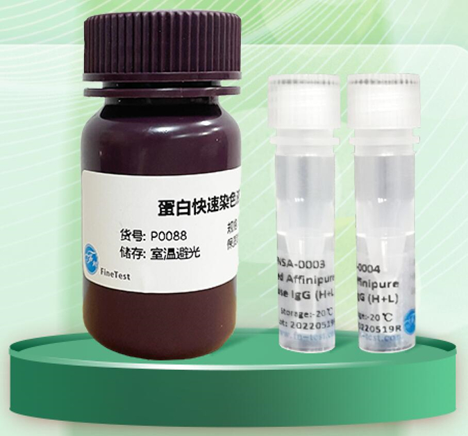 尚恩生物端午活動