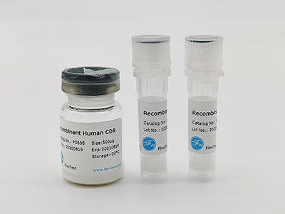 人源AKR1CL2重組蛋白