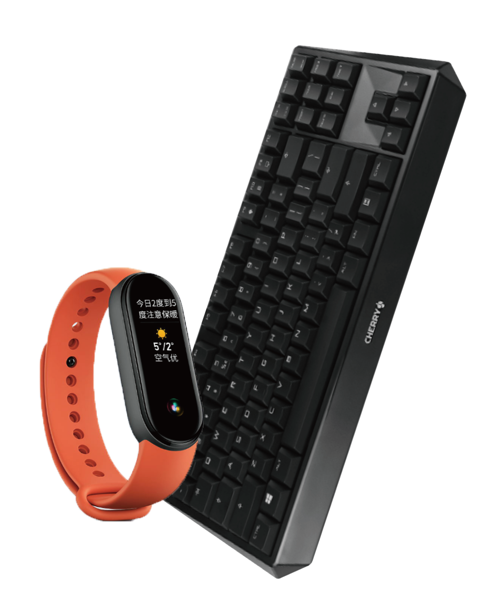 2022菲恩生物國慶活動