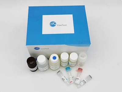 人中性粒細(xì)胞防御素1-3(HNP1-3)酶聯(lián)免疫(elisa)試劑盒