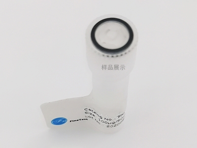 抗LC3B特異性抗體