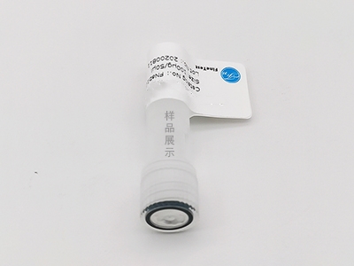 抗CD163抗體