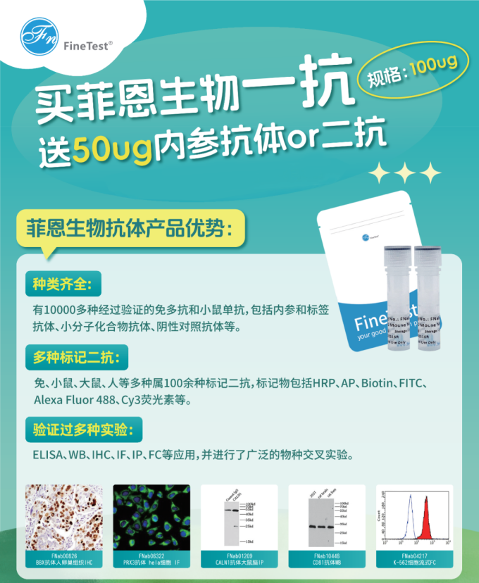 菲恩生物抗體促銷